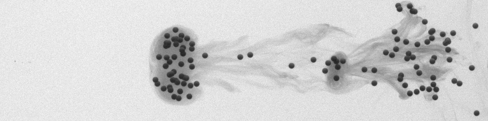 Particle–vortex interaction visualisation